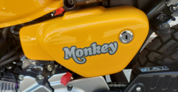 Honda Monkey 125 Giallo – Ciciriello Moto (4)