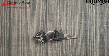 Triumph Triple Tribute 660 Bianca-Blu – Ciciriello Moto (4)