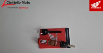 Honda XL Transalp 750 Tricolor – Ciciriello Moto (3)