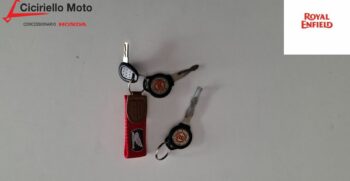 Royal Enfield Himalayan 450 Grigia – Ciciriello Moto (4)